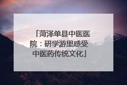菏泽单县中医医院：研学游里感受中医药传统文化