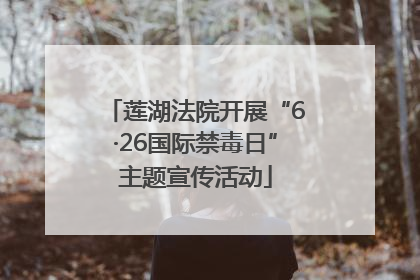 莲湖法院开展“6·26国际禁毒日”主题宣传活动