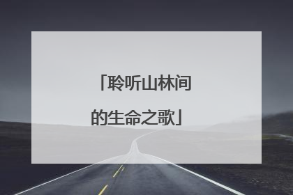 聆听山林间的生命之歌