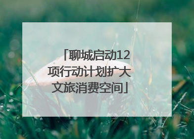 聊城启动12项行动计划扩大文旅消费空间