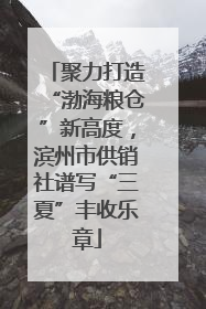 聚力打造“渤海粮仓”新高度，滨州市供销社谱写“三夏”丰收乐章
