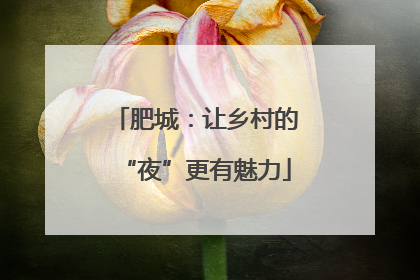 肥城：让乡村的“夜”更有魅力