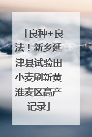 良种+良法！新乡延津县试验田小麦刷新黄淮麦区高产记录