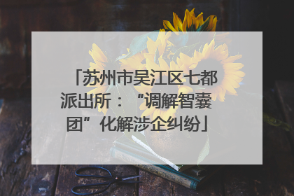 苏州市吴江区七都派出所：“调解智囊团”化解涉企纠纷