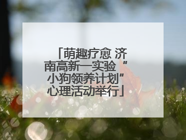 萌趣疗愈 济南高新一实验“小狗领养计划”心理活动举行