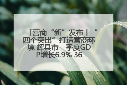 营商“新”发布丨“四个突出”打造营商环境 辉县市一季度GDP增长6.9% 36个重点项目落地