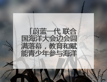 蔚蓝一代 联合国海洋大会边会圆满落幕，教育和赋能青少年参与海洋保护，共护珍贵蓝色家园