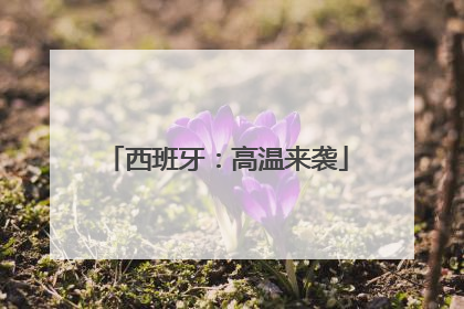 西班牙：高温来袭