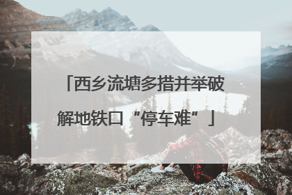 西乡流塘多措并举破解地铁口“停车难”