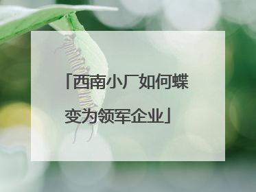 西南小厂如何蝶变为领军企业