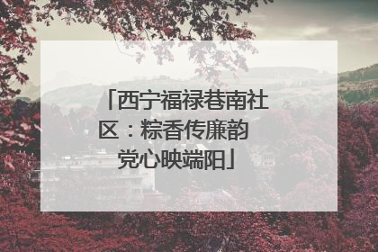 西宁福禄巷南社区：粽香传廉韵 党心映端阳