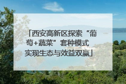 西安高新区探索“葡萄+蔬菜”套种模式 实现生态与效益双赢