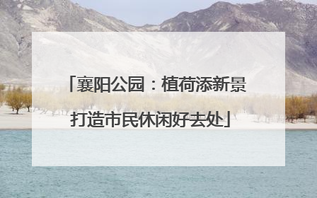 襄阳公园：植荷添新景 打造市民休闲好去处