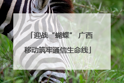 迎战“蝴蝶” 广西移动筑牢通信生命线