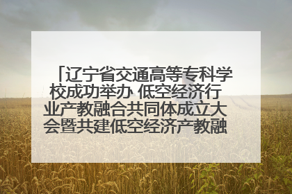 辽宁省交通高等专科学校成功举办 低空经济行业产教融合共同体成立大会暨共建低空经济产教融合新生态论坛