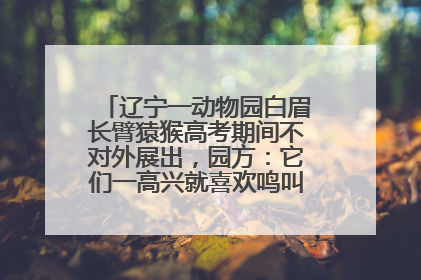 辽宁一动物园白眉长臂猿猴高考期间不对外展出，园方：它们一高兴就喜欢鸣叫，怕影响考试