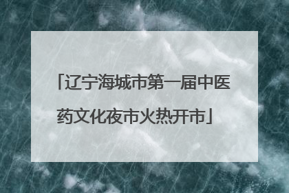 辽宁海城市第一届中医药文化夜市火热开市