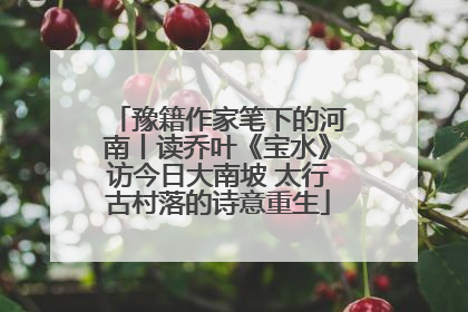 豫籍作家笔下的河南丨读乔叶《宝水》访今日大南坡 太行古村落的诗意重生