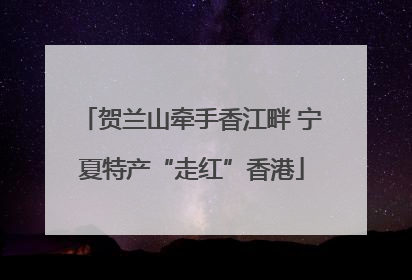 贺兰山牵手香江畔 宁夏特产“走红”香港