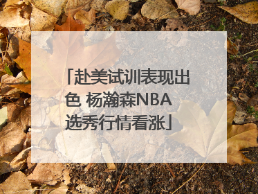 赴美试训表现出色 杨瀚森NBA选秀行情看涨