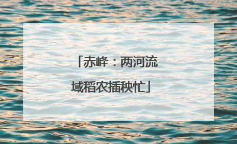 赤峰：两河流域稻农插秧忙