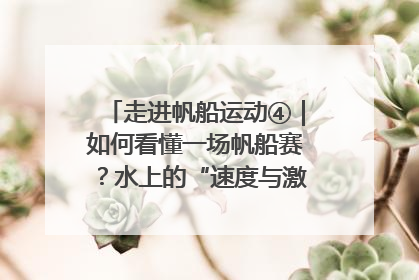 走进帆船运动④｜如何看懂一场帆船赛？水上的“速度与激情”同样精彩
