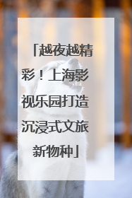越夜越精彩！上海影视乐园打造沉浸式文旅新物种