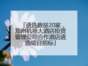 遴选数量20家，郑州机场大酒店投资管理公司合作酒店遴选项目招标