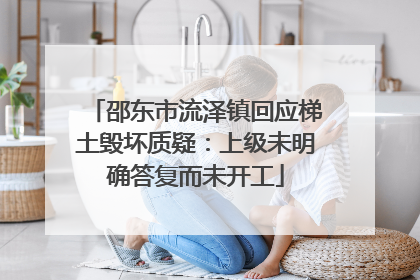 邵东市流泽镇回应梯土毁坏质疑：上级未明确答复而未开工