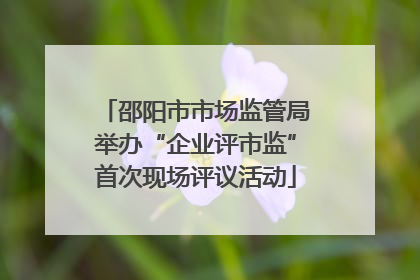 邵阳市市场监管局举办“企业评市监”首次现场评议活动