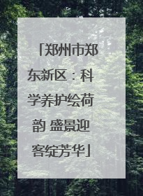 郑州市郑东新区：科学养护绘荷韵 盛景迎客绽芳华