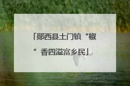 郧西县土门镇“椒”香四溢富乡民