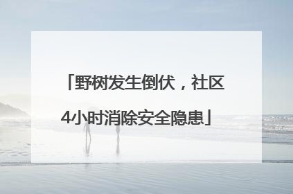 野树发生倒伏，社区4小时消除安全隐患