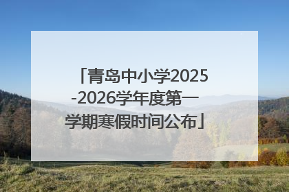 青岛中小学2025-2026学年度第一学期寒假时间公布