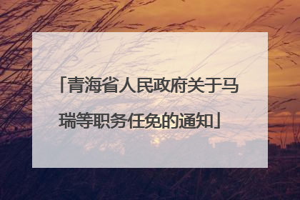 青海省人民政府关于马瑞等职务任免的通知
