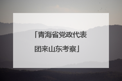 青海省党政代表团来山东考察