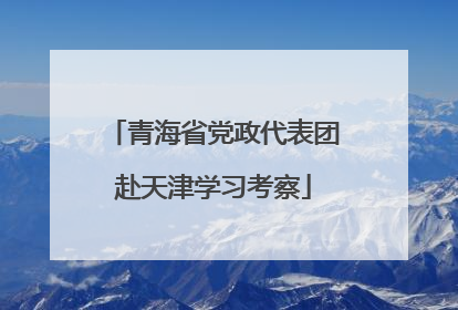 青海省党政代表团赴天津学习考察