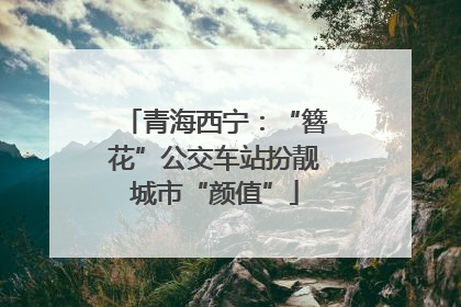 青海西宁：“簪花”公交车站扮靓城市“颜值”