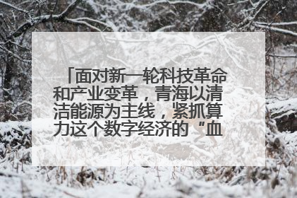 面对新一轮科技革命和产业变革，青海以清洁能源为主线，紧抓算力这个数字经济的“血液”、科技主权的“筹码”、产业升级的“杠杆”、绿色转型的“支点”，勇于撬动国家“双碳”战略、“东数西算”工程重大发展新机遇
