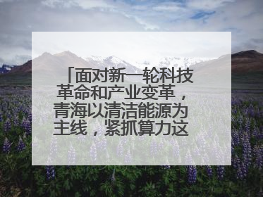 面对新一轮科技革命和产业变革，青海以清洁能源为主线，紧抓算力这个数字经济的“血液”、科技主权的“筹码”、产业升级的“杠杆”、绿色转型的“支点”，勇于撬动国家“双碳”战略、“东数西算”工程重大发展新机遇，点亮绿色算电协同新赛道，蹚出一条符合本地实际的高质量发展之路——青海：“绿色算力” 锚定“东数西算”国家战略布局