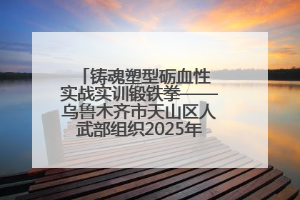 铸魂塑型砺血性 实战实训锻铁拳——乌鲁木齐市天山区人武部组织2025年度民兵集中轮训