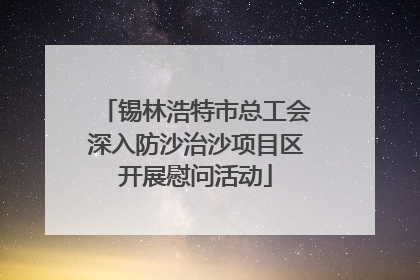 锡林浩特市总工会深入防沙治沙项目区开展慰问活动