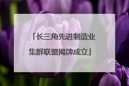 长三角先进制造业集群联盟揭牌成立