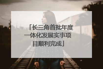 长三角首批年度一体化发展实事项目顺利完成
