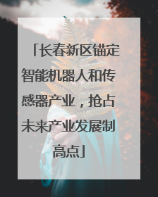 长春新区锚定智能机器人和传感器产业，抢占未来产业发展制高点