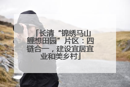 长清“锦绣马山 鲤想田园”片区：四链合一，建设宜居宜业和美乡村