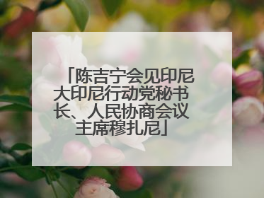 陈吉宁会见印尼大印尼行动党秘书长、人民协商会议主席穆扎尼