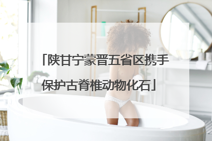 陕甘宁蒙晋五省区携手保护古脊椎动物化石