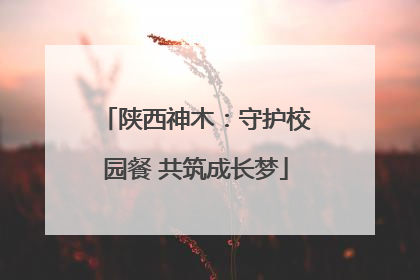 陕西神木：守护校园餐 共筑成长梦