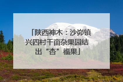 陕西神木：沙峁镇兴四村千亩杂果园结出“杏”福果